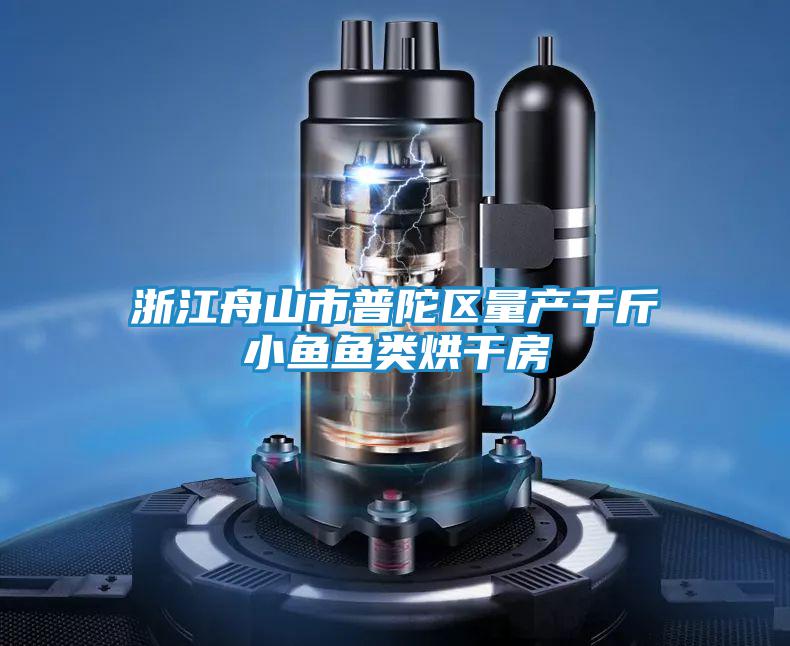 浙江舟山市普陀區(qū)量產(chǎn)千斤小魚(yú)魚(yú)類(lèi)烘干房