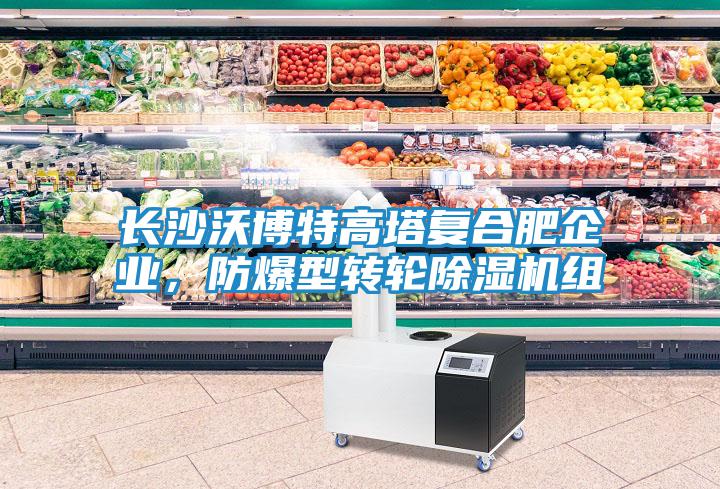 長沙沃博特高塔復(fù)合肥企業(yè)，防爆型轉(zhuǎn)輪除濕機(jī)組