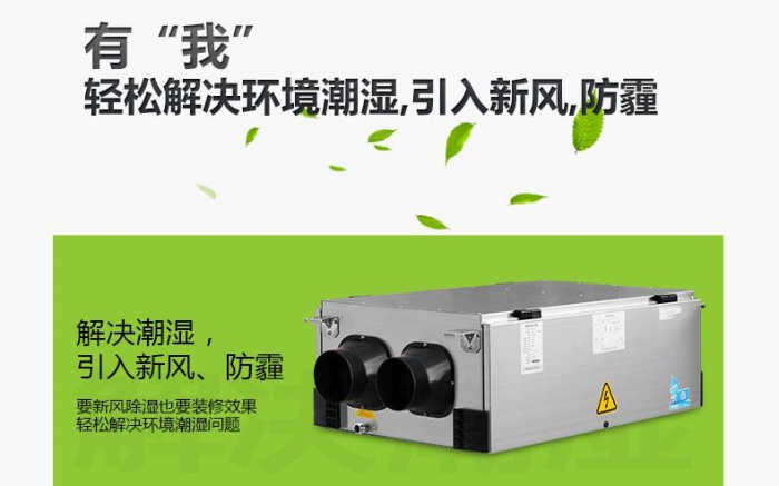 回南天貓毛都粘在一起，面對潮濕天氣，鏟屎官養貓需要注意什么