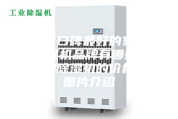 目前口碑最好的家用除濕機(jī)品牌有哪些？家用除濕機(jī)的價(jià)格和圖片介紹