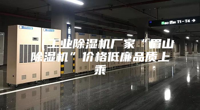 （工業(yè)除濕機廠家“眉山除濕機”價格低廉品質上乘