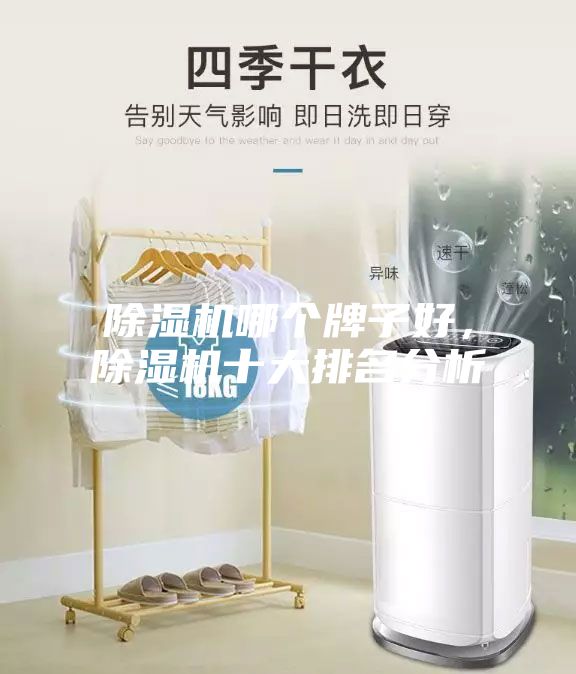 除濕機哪個牌子好，除濕機十大排名分析