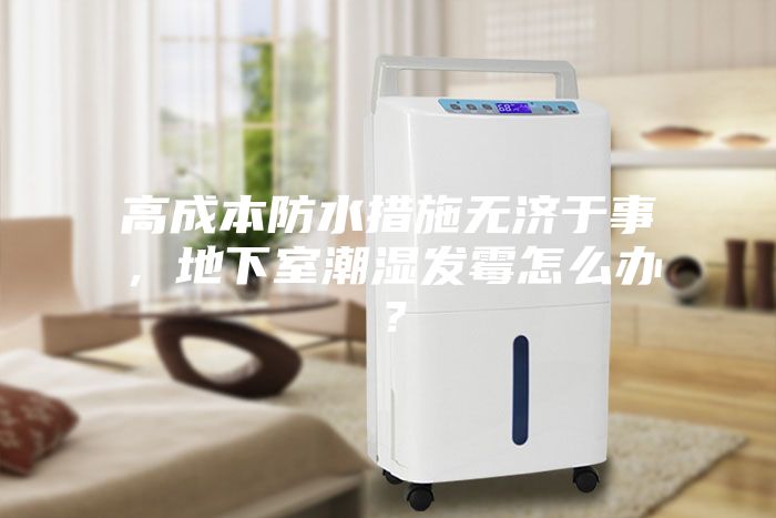 高成本防水措施無濟于事，地下室潮濕發霉怎么辦？
