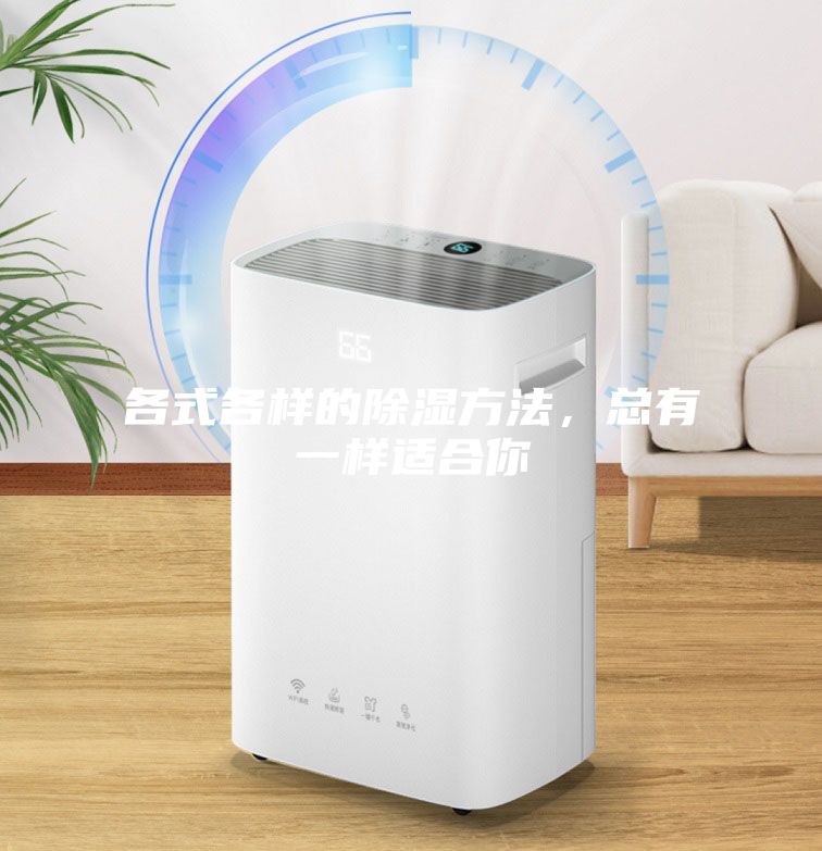 各式各樣的除濕方法，總有一樣適合你