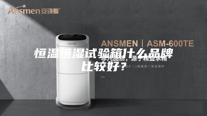 恒溫恒濕試驗箱什么品牌比較好？
