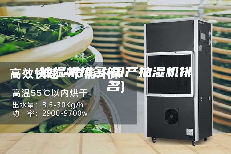 抽濕機排名(國產(chǎn)抽濕機排名)