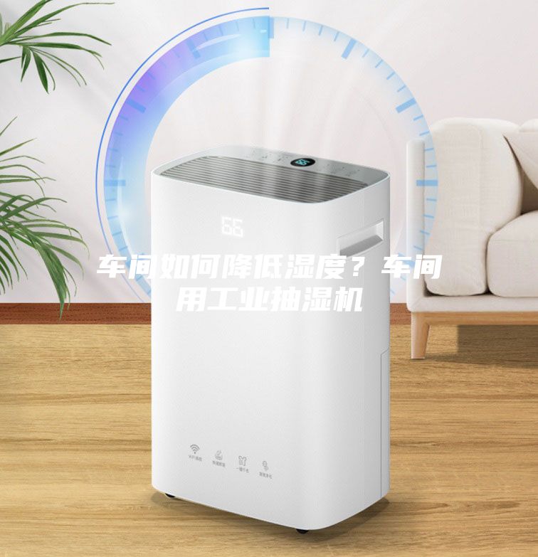 車間如何降低濕度？車間用工業(yè)抽濕機(jī)