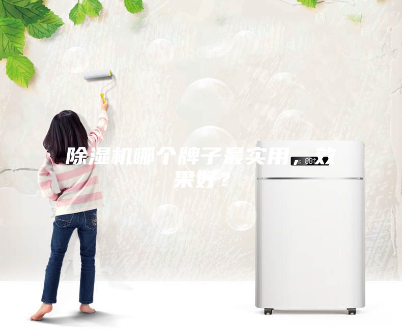 除濕機哪個牌子最實用，效果好？