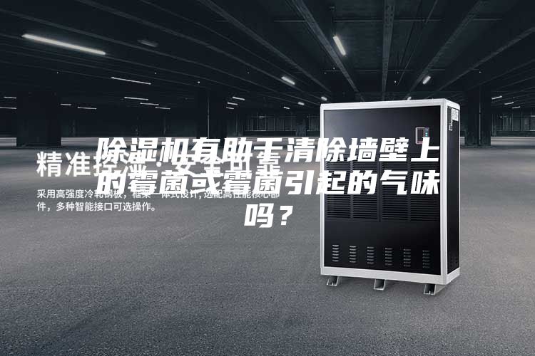 除濕機有助于清除墻壁上的霉菌或霉菌引起的氣味嗎？