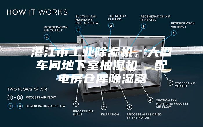 湛江市工業(yè)除濕機(jī)，大型車間地下室抽濕機(jī)  配電房倉庫除濕器