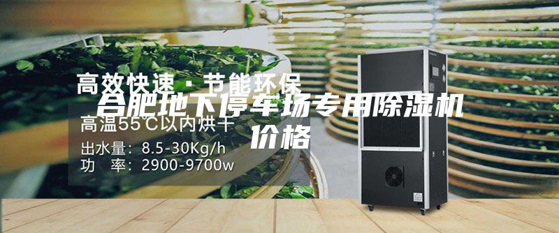 合肥地下停車場專用除濕機價格
