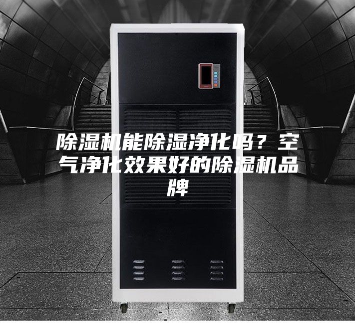 除濕機能除濕凈化嗎？空氣凈化效果好的除濕機品牌