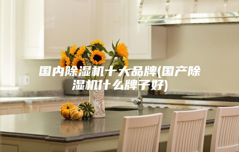 國內(nèi)除濕機(jī)十大品牌(國產(chǎn)除濕機(jī)什么牌子好)