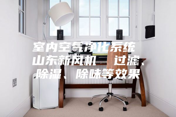 室內(nèi)空氣凈化系統(tǒng) 山東新風(fēng)機(jī)  過濾、除濕、除味等效果