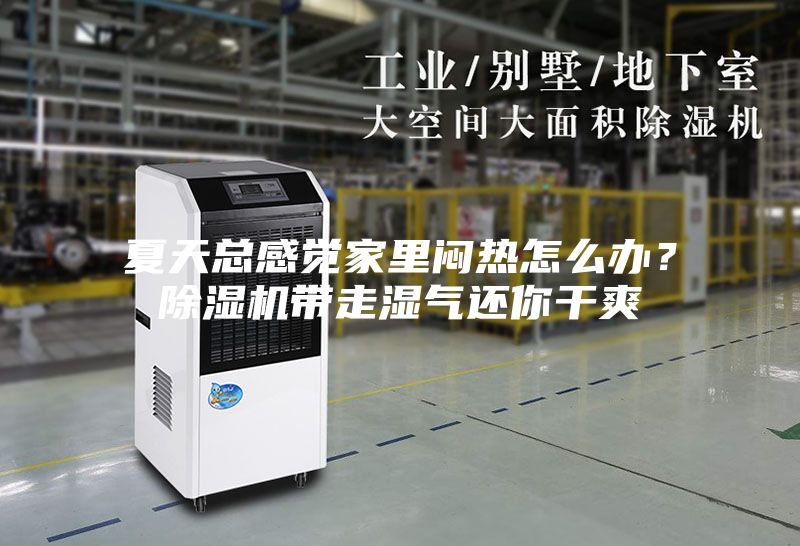 夏天總感覺家里悶熱怎么辦？除濕機(jī)帶走濕氣還你干爽