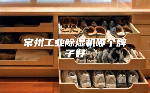 常州工業(yè)除濕機(jī)哪個牌子好