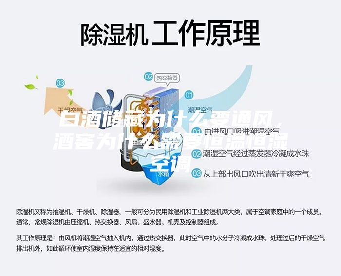 白酒儲藏為什么要通風，酒窖為什么需要恒溫恒濕空調
