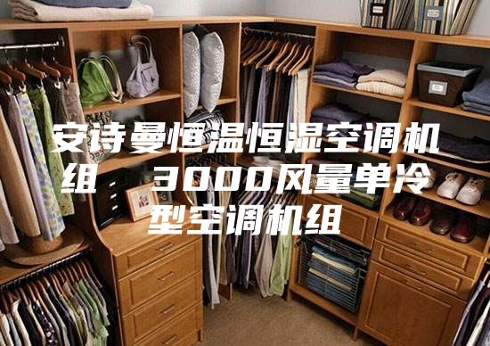 安詩(shī)曼恒溫恒濕空調(diào)機(jī)組  3000風(fēng)量單冷型空調(diào)機(jī)組