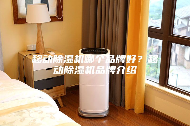 移動(dòng)除濕機(jī)哪個(gè)品牌好？移動(dòng)除濕機(jī)品牌介紹