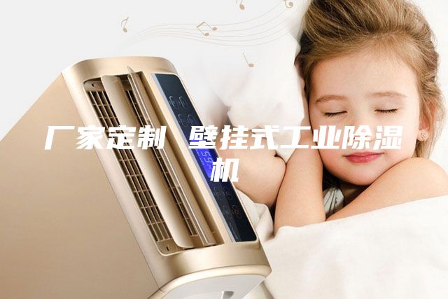 廠(chǎng)家定制 壁掛式工業(yè)除濕機(jī)