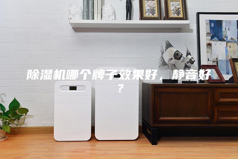 除濕機(jī)哪個(gè)牌子效果好，靜音好？