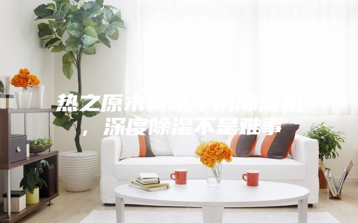 熱之原木材烘干房除濕機，深度除濕不是難事