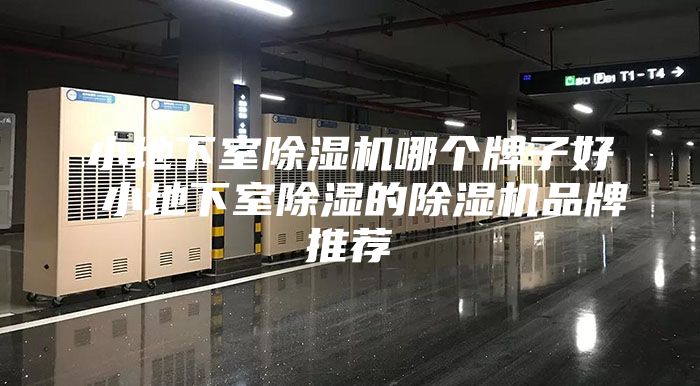 小地下室除濕機(jī)哪個(gè)牌子好 小地下室除濕的除濕機(jī)品牌推薦