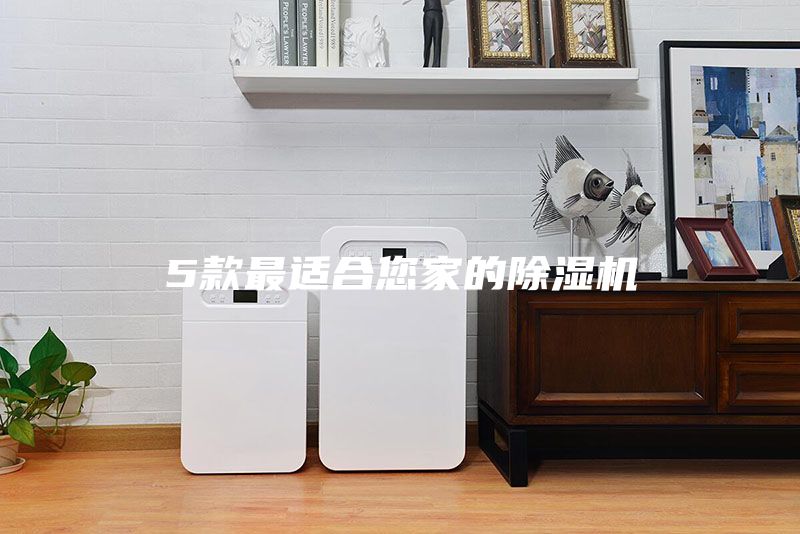 5款最適合您家的除濕機