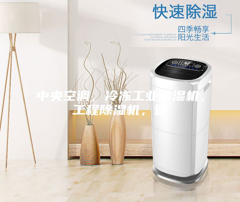 中央空調(diào)，冷凍工業(yè)除濕機(jī)，工程除濕機(jī)，管