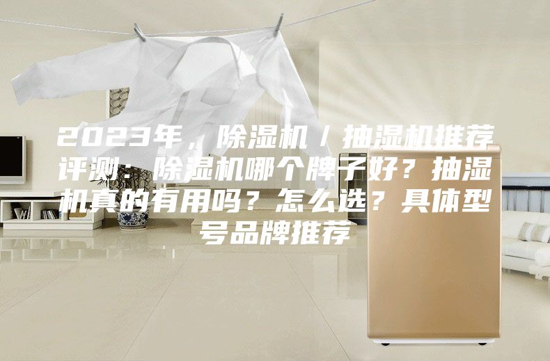 2023年，除濕機／抽濕機推薦評測：除濕機哪個牌子好？抽濕機真的有用嗎？怎么選？具體型號品牌推薦