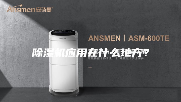 除濕機應(yīng)用在什么地方？