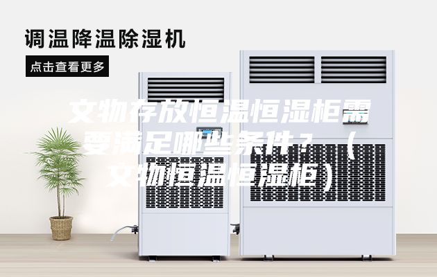 文物存放恒溫恒濕柜需要滿足哪些條件？（文物恒溫恒濕柜）