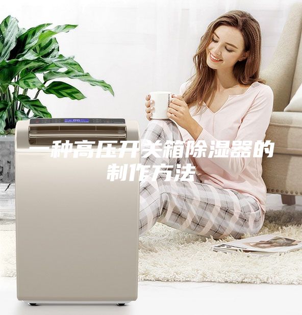 一種高壓開關箱除濕器的制作方法