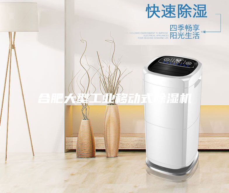 合肥大型工業(yè)移動(dòng)式除濕機(jī)