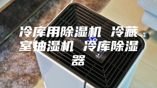 冷庫(kù)用除濕機(jī) 冷藏室抽濕機(jī) 冷庫(kù)除濕器