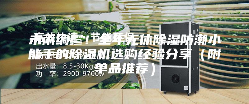 未雨綢繆！全年無休除濕防潮小能手的除濕機(jī)選購經(jīng)驗(yàn)分享（附單品推薦）
