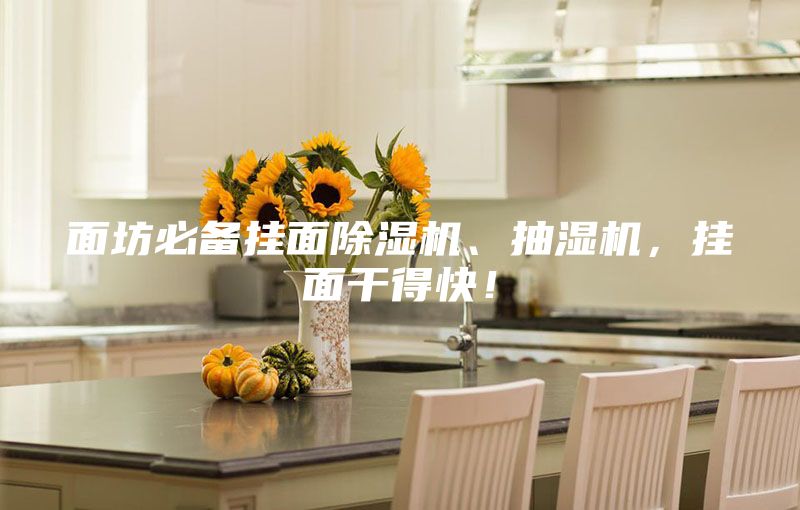 面坊必備掛面除濕機、抽濕機，掛面干得快！