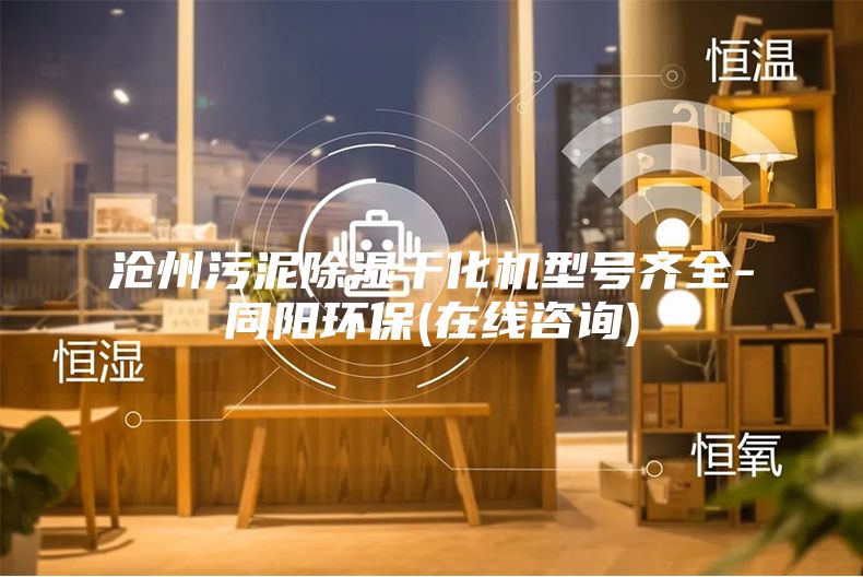 滄州污泥除濕干化機(jī)型號齊全-同陽環(huán)保(在線咨詢)
