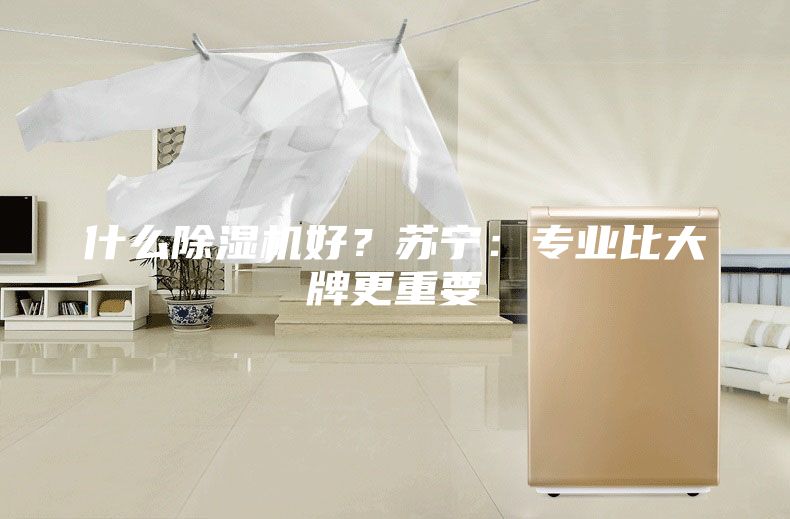 什么除濕機好？蘇寧：專業比大牌更重要