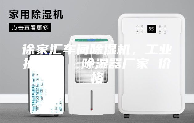 徐家匯車間除濕機(jī)，工業(yè)抽濕機(jī)  除濕器廠家 價格