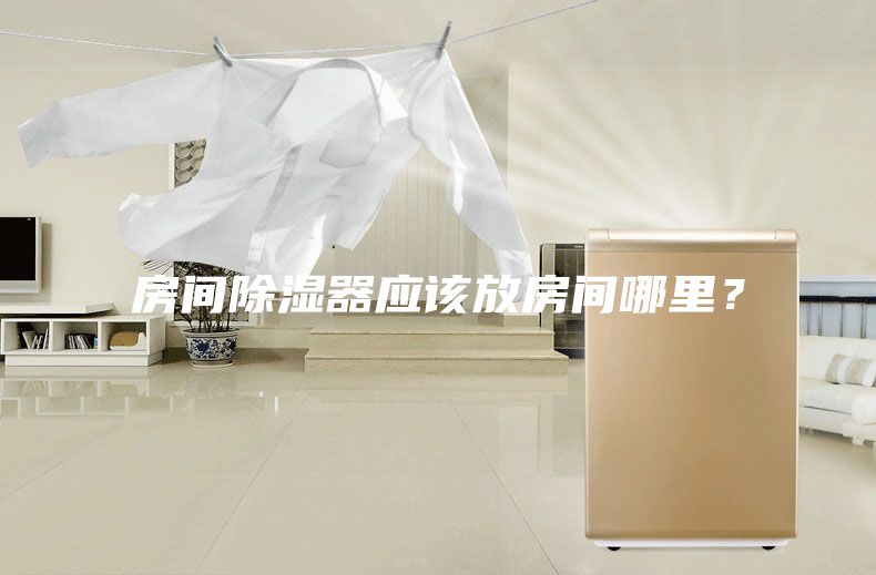 房間除濕器應(yīng)該放房間哪里？