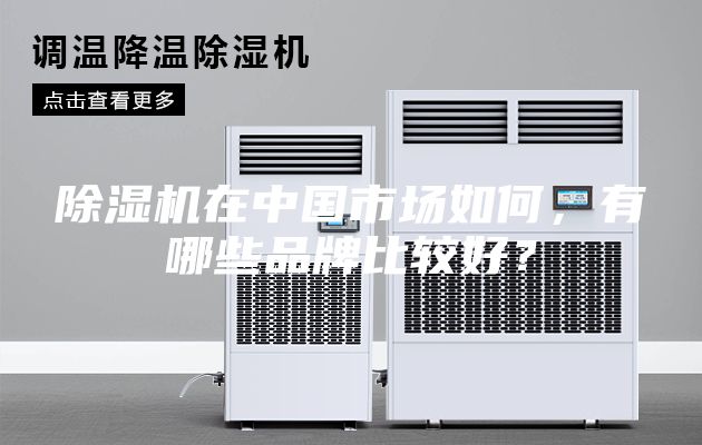 除濕機在中國市場如何，有哪些品牌比較好？