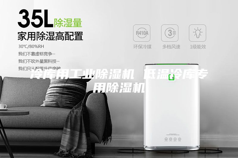 冷庫用工業(yè)除濕機(jī) 低溫冷庫專用除濕機(jī)