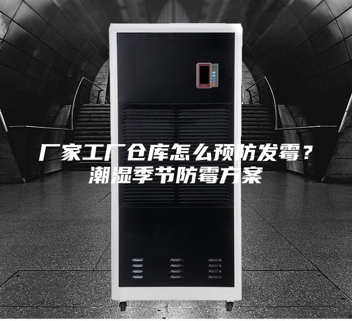 廠家工廠倉庫怎么預防發霉？潮濕季節防霉方案