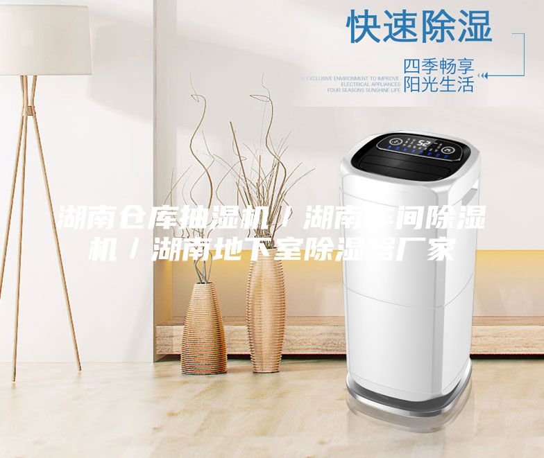 湖南倉庫抽濕機(jī)／湖南車間除濕機(jī)／湖南地下室除濕器廠家