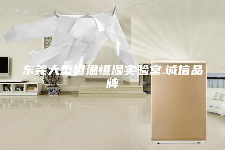 東莞大型恒溫恒濕實(shí)驗(yàn)室.誠信品牌