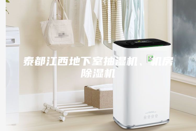 泰都江西地下室抽濕機(jī)、機(jī)房除濕機(jī)