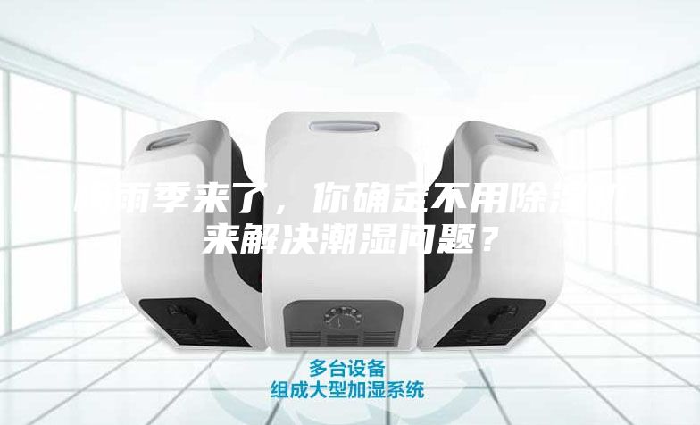 梅雨季來了，你確定不用除濕機來解決潮濕問題？