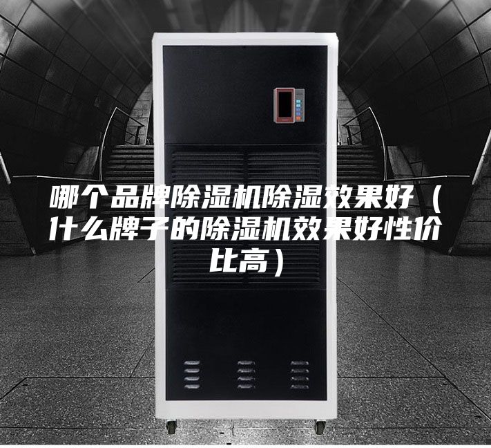 哪個品牌除濕機(jī)除濕效果好（什么牌子的除濕機(jī)效果好性價比高）