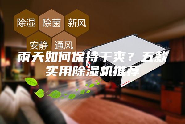 雨天如何保持干爽？五款實(shí)用除濕機(jī)推薦